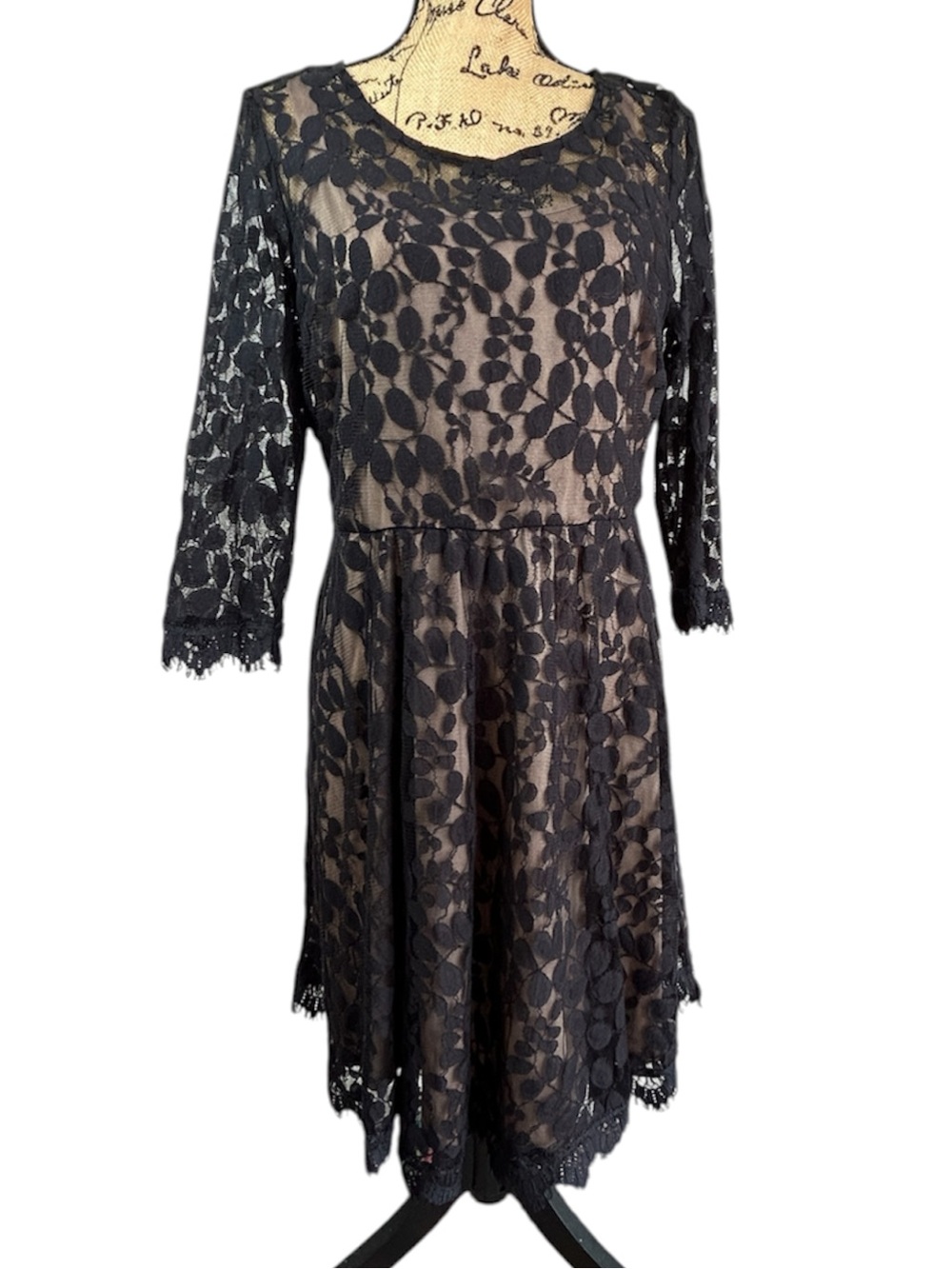 NY Collection Black Lace Long-Sleeve Fit & Flare Dress